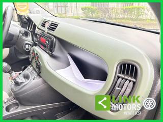 FIAT Panda usata 31