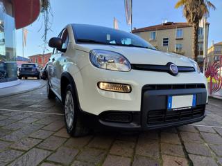 FIAT Panda usata, con Airbag