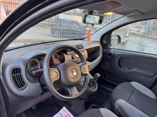 FIAT Panda usata, con Climatizzatore
