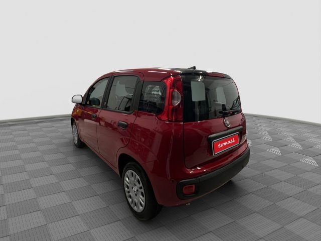 FIAT Panda usata 3
