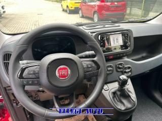 FIAT Panda usata, con ESP