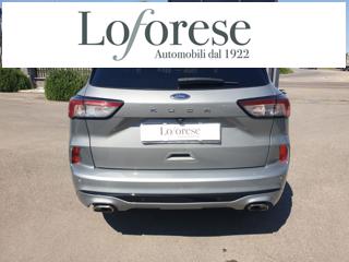 FORD Kuga usata, con Airbag Passeggero