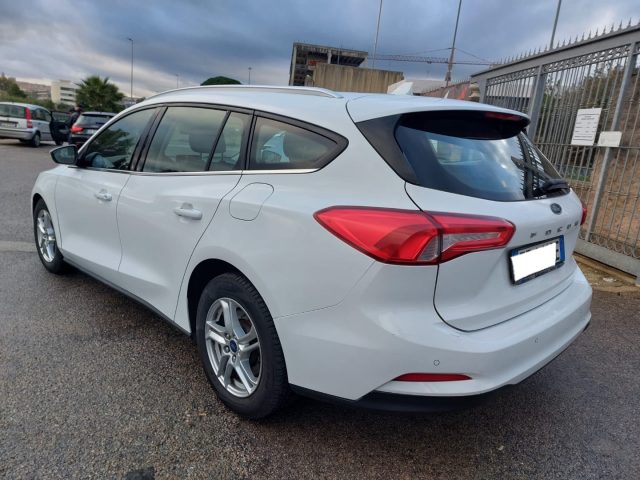 FORD Focus usata 6