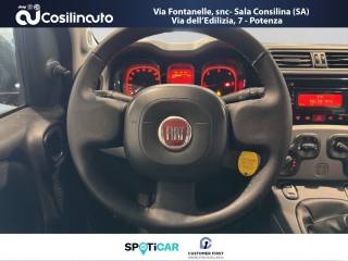 FIAT Panda usata, con Fendinebbia