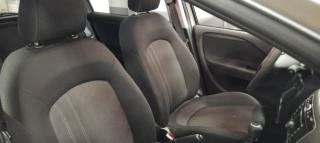 FIAT Punto usata 12