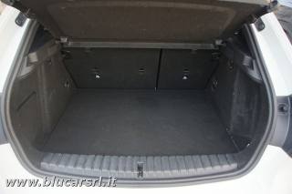 BMW 116 usata, con Fendinebbia
