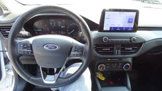 FORD Focus usata, con Cronologia tagliandi