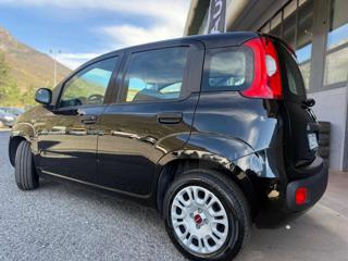 FIAT Panda usata, con Antifurto