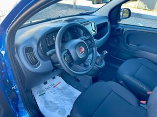FIAT Panda usata, con Climatizzatore