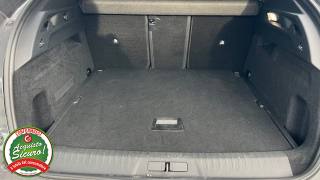 PEUGEOT 3008 usata, con Climatizzatore