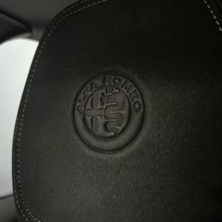 ALFA ROMEO Stelvio usata, con Controllo trazione