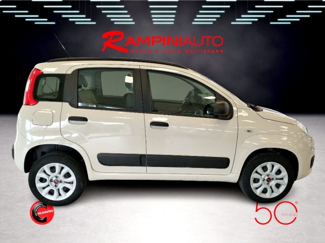 FIAT Panda usata 5