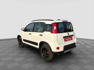 FIAT Panda usata 2