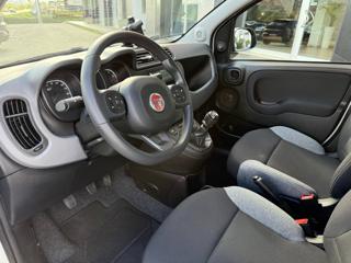 FIAT Panda usata, con Autoradio