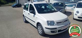 FIAT Panda usata, con Airbag Passeggero
