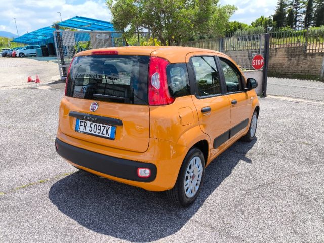 FIAT Panda usata 4
