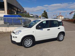 FIAT Panda usata, con Airbag Passeggero