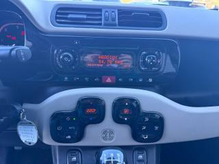 FIAT Panda usata, con Fendinebbia
