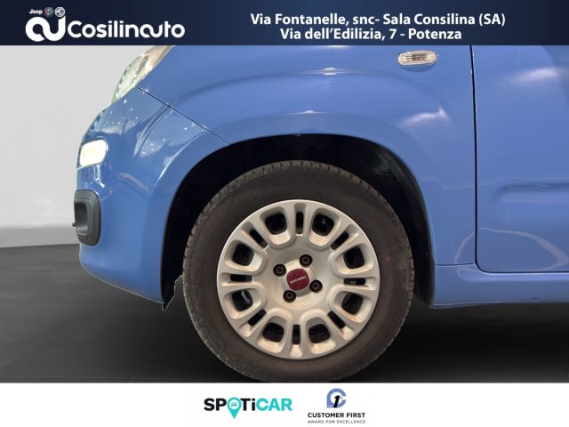 FIAT Panda usata, con Bracciolo