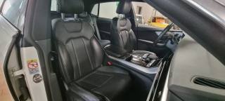 AUDI Q8 usata, con Airbag testa