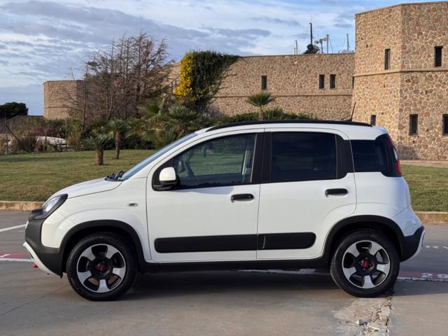 FIAT Panda Cross usata, con Alzacristalli elettrici