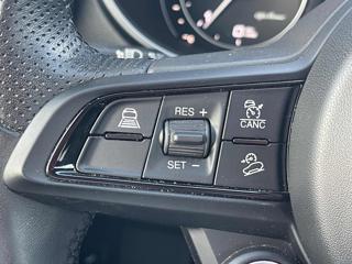 ALFA ROMEO Stelvio usata, con Fendinebbia