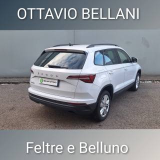 SKODA Karoq usata, con Controllo trazione