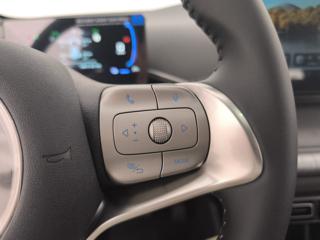BYD Dolphin Surf usata, con Servosterzo