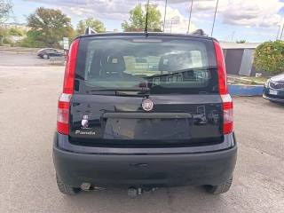 FIAT Panda usata 7