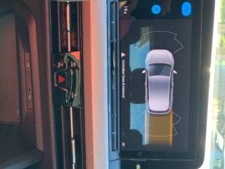VOLKSWAGEN Golf usata, con Volante in pelle