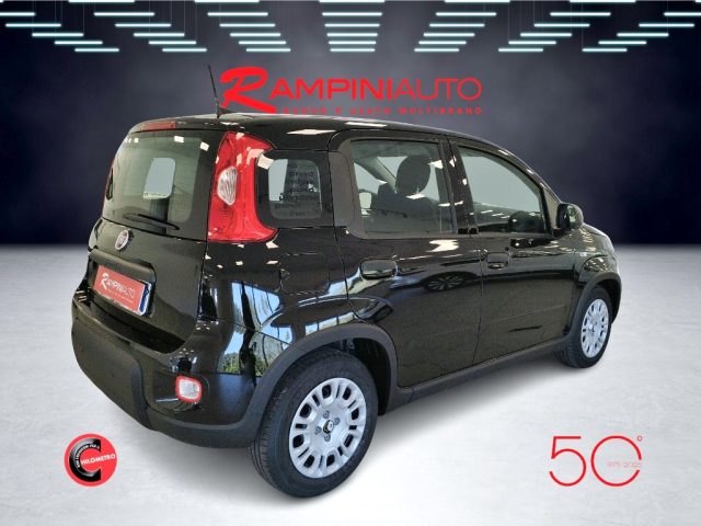 FIAT Panda usata 6