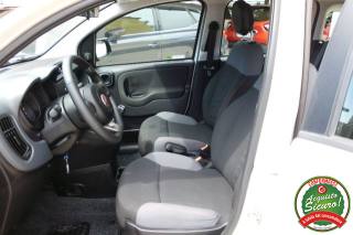 FIAT Panda usata, con Climatizzatore