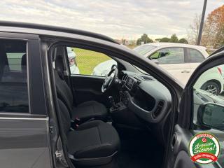 FIAT Panda usata, con Servosterzo