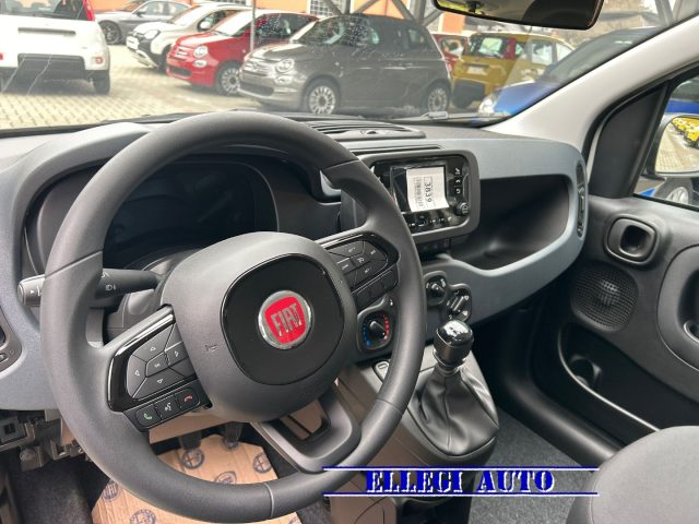 FIAT Panda usata, con Cruise Control