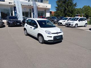 FIAT Panda usata, con Airbag Passeggero