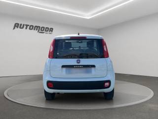 FIAT Panda usata, con Controllo trazione