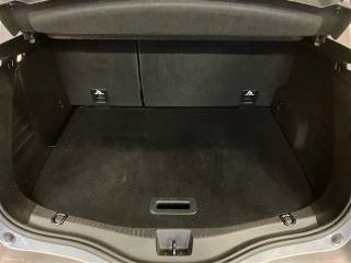 RENAULT Scenic usata 24