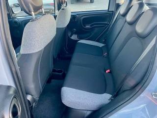 FIAT Panda usata, con Climatizzatore