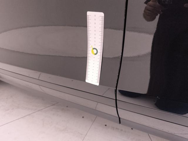 LAND ROVER Range Rover Evoque usata 52