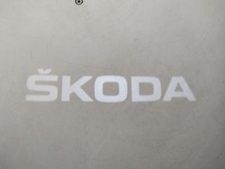 SKODA Karoq usata, con Fendinebbia
