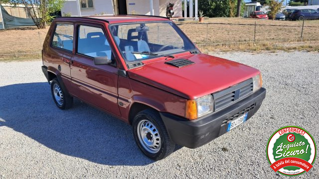 FIAT Panda usata 7