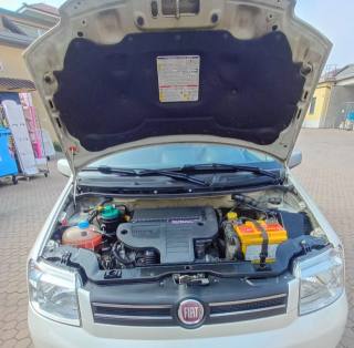 FIAT Panda usata 10