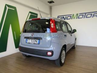 FIAT Panda usata, con Servosterzo