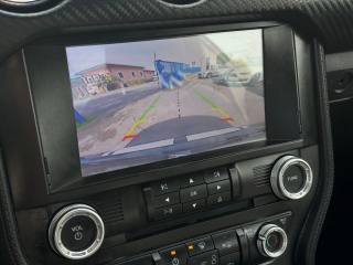 FORD Mustang usata, con Fendinebbia