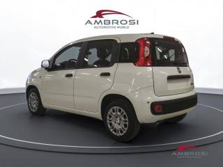 FIAT Panda usata 2