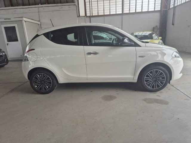 LANCIA Ypsilon usata, con Cerchi in lega