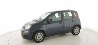 FIAT Panda usata 28