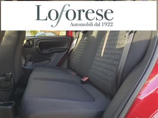FIAT Panda usata, con Cruise Control