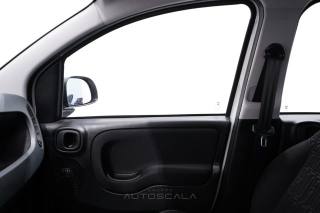 FIAT New Panda usata 15