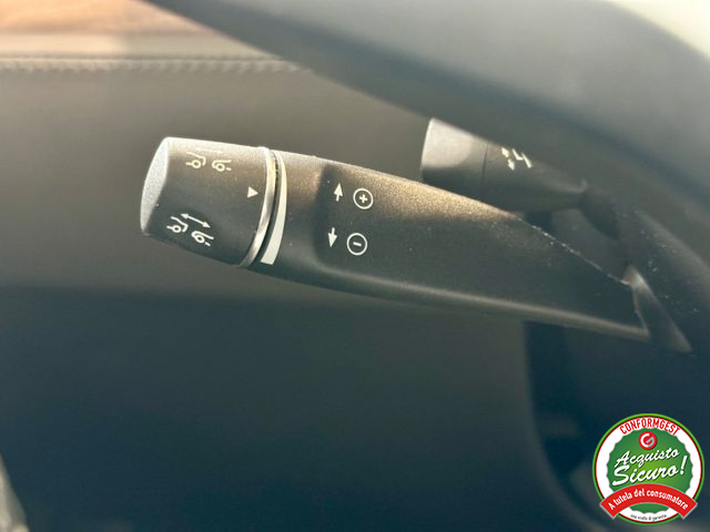 TESLA Model X usata, con Vetri oscurati